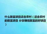 什么致富項目適合農(nóng)村（適合農(nóng)村的致富項目 分享賺錢致富的好項目）