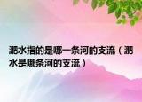 淝水指的是哪一條河的支流（淝水是哪條河的支流）