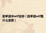 跆拳道中wtf全稱（跆拳道wtf是什么意思）