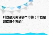葉縣是河南省哪個市的（葉縣是河南哪個市的）