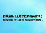 狗屎運是什么意思以及相關(guān)解釋（狗屎運是什么意思 狗屎運的意思）