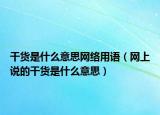 干貨是什么意思網(wǎng)絡(luò)用語（網(wǎng)上說的干貨是什么意思）