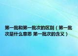 第一批和第一批次的區(qū)別（第一批次是什么意思 第一批次的含義）