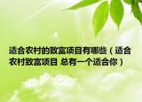 適合農(nóng)村的致富項目有哪些（適合農(nóng)村致富項目 總有一個適合你）