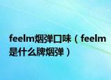 feelm煙彈口味（feelm是什么牌煙彈）