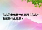 東北的老弟是什么意思（東北小老弟是什么意思）