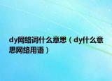 dy網絡詞什么意思（dy什么意思網絡用語）