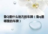 魯Q是什么地方的車牌（魯q是哪里的車牌）