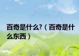 百奇是什么?（百奇是什么東西）