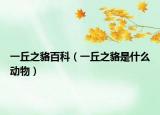 一丘之貉百科（一丘之貉是什么動(dòng)物）