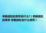 牽腸掛肚的意思是什么?（牽腸掛肚的意思 牽腸掛肚是什么意思）