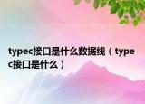 typec接口是什么數(shù)據(jù)線（type c接口是什么）