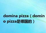 domina pizza（domino pizza是哪國的）