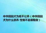 中華田園犬為啥不讓養(yǎng)（中華田園犬為什么禁養(yǎng) 性情不是很穩(wěn)定）