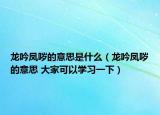 龍吟鳳噦的意思是什么（龍吟鳳噦的意思 大家可以學(xué)習(xí)一下）