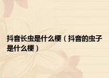 抖音長蟲是什么梗（抖音的蟲子是什么梗）