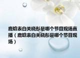 鹿晗表白關曉彤是哪個節(jié)目現(xiàn)場直播（鹿晗表白關曉彤是哪個節(jié)目現(xiàn)場）