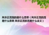 風(fēng)華正茂指的是什么意思（風(fēng)華正茂的茂是什么意思 風(fēng)華正茂的茂是什么含義）