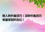 剛?cè)肭镝烎~技巧（深秋釣魚技巧 希望幫到釣友們）