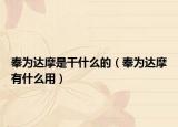 奉為達摩是干什么的（奉為達摩有什么用）