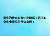 男生為什么叫女生小傻瓜（男生叫女生小傻瓜是什么意思）