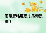 吊帶是啥意思（吊帶是啥）