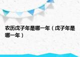 農(nóng)歷戊子年是哪一年（戊子年是哪一年）