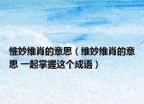 惟妙維肖的意思（維妙維肖的意思 一起掌握這個成語）