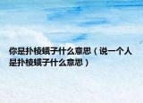 你是撲棱蛾子什么意思（說一個(gè)人是撲棱蛾子什么意思）