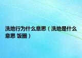 洗地行為什么意思（洗地是什么意思 飯圈）