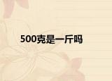 500克是一斤嗎