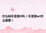 什么叫不支持URL（不支持url什么意思）