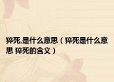 猝死,是什么意思（猝死是什么意思 猝死的含義）