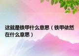 這就是鐵甲什么意思（鐵甲依然在什么意思）
