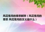 風(fēng)花雪月的意思解釋?zhuān)L(fēng)花雪月的意思 風(fēng)花雪月的含義是什么）