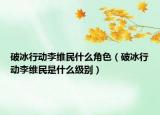 破冰行動李維民什么角色（破冰行動李維民是什么級別）