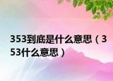 353到底是什么意思（353什么意思）