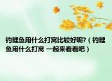 釣鯉魚用什么打窩比較好呢?（釣鯉魚用什么打窩 一起來看看吧）