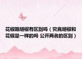 花椒跟胡椒有區(qū)別嗎（究竟胡椒和花椒是一樣的嗎 公開(kāi)兩者的區(qū)別）