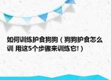 如何訓(xùn)練護(hù)食狗狗（狗狗護(hù)食怎么訓(xùn) 用這5個步驟來訓(xùn)練它!）