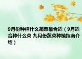 9月份種植什么蔬菜最合適（9月適合種什么菜 九月份蔬菜種植指南介紹）