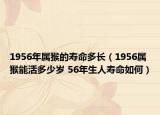 1956年屬猴的壽命多長（1956屬猴能活多少歲 56年生人壽命如何）