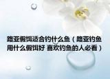 路亞假餌適合釣什么魚（路亞釣魚用什么假餌好 喜歡釣魚的人必看）