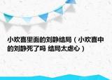 小歡喜里面的劉靜結(jié)局（小歡喜中的劉靜死了嗎 結(jié)局太虐心）