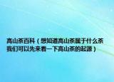 高山茶百科（想知道高山茶屬于什么茶 我們可以先來看一下高山茶的起源）