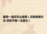 賽鴿一滴靈怎么使用（靈鴿使用方法 進(jìn)去不再一頭霧水）