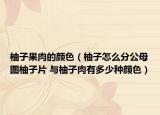 柚子果肉的顏色（柚子怎么分公母圖柚子片 與柚子肉有多少種顏色）