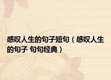 感嘆人生的句子短句（感嘆人生的句子 句句經(jīng)典）