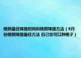 桃樹最佳嫁接時間和桃樹嫁接方法（9月份桃樹嫁接最佳方法 自己也可以種桃子）