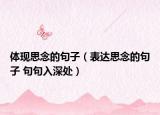 體現(xiàn)思念的句子（表達(dá)思念的句子 句句入深處）